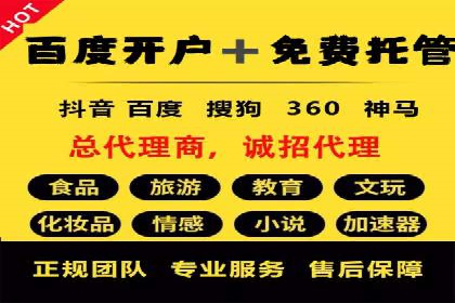 竞价托管助力sem推广：成功案例解析与启示